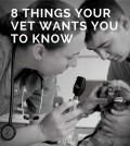 8 THINGS YOUR VET WANTS YOU TO KNOW