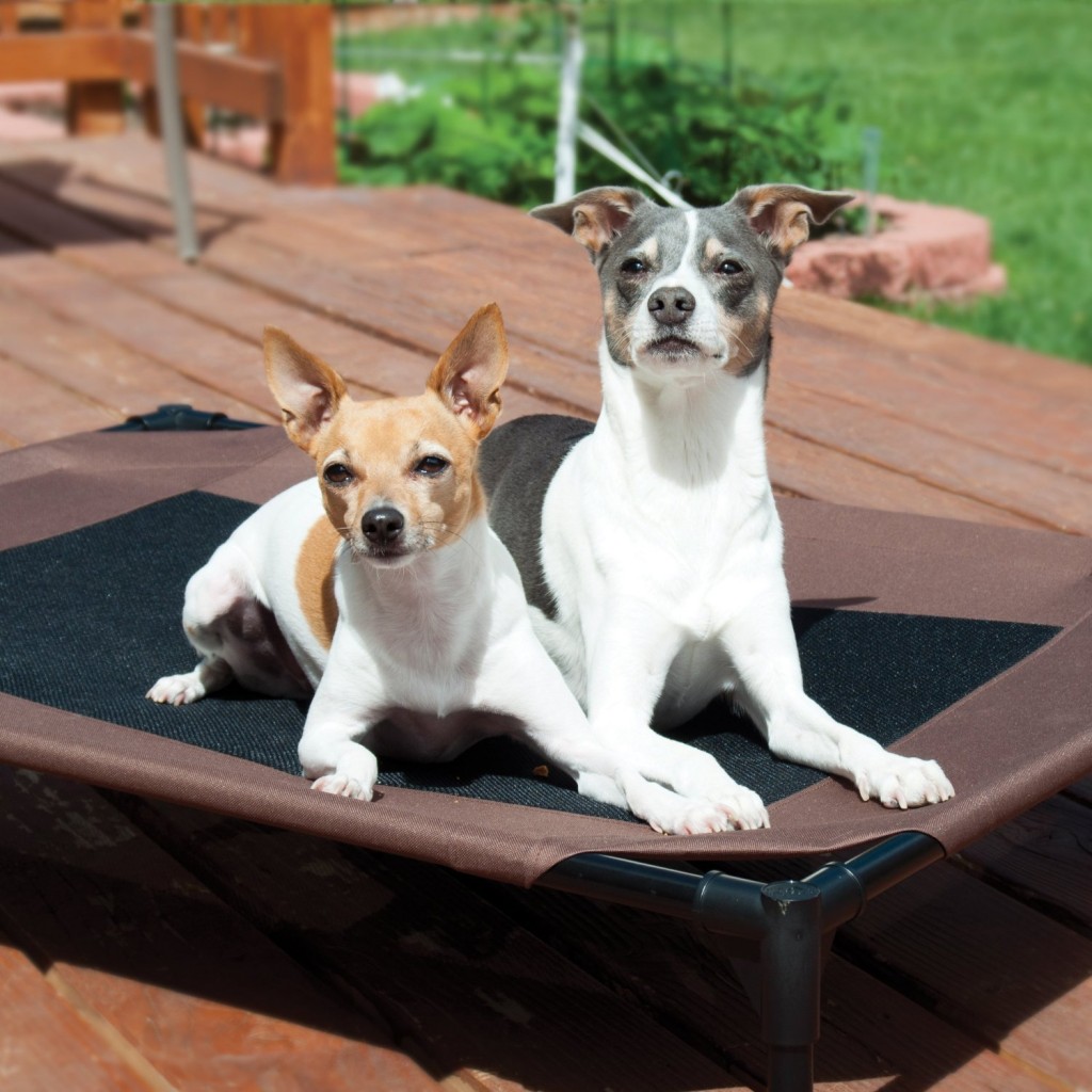 Chew Resistant Dog Bed